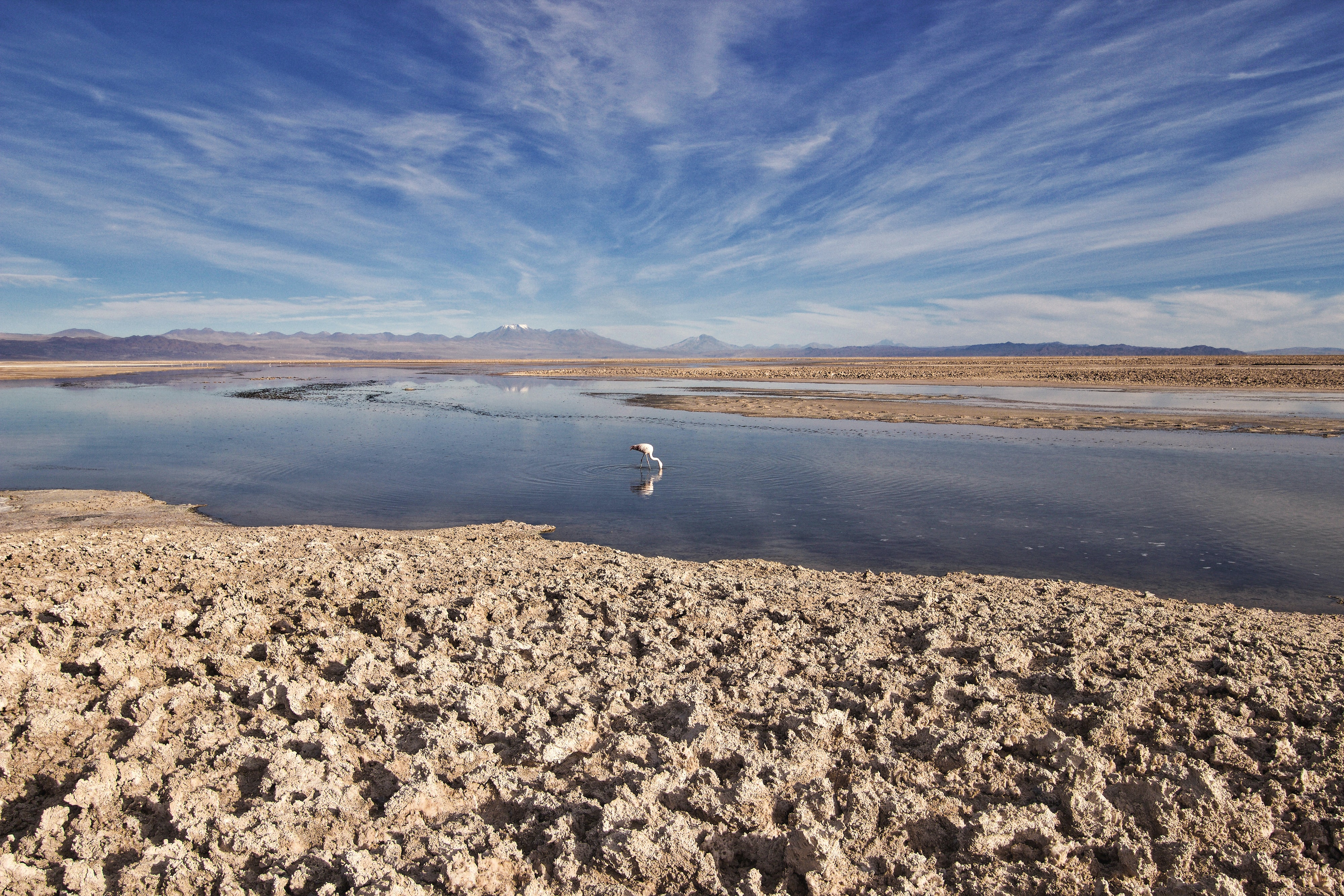 Desierto